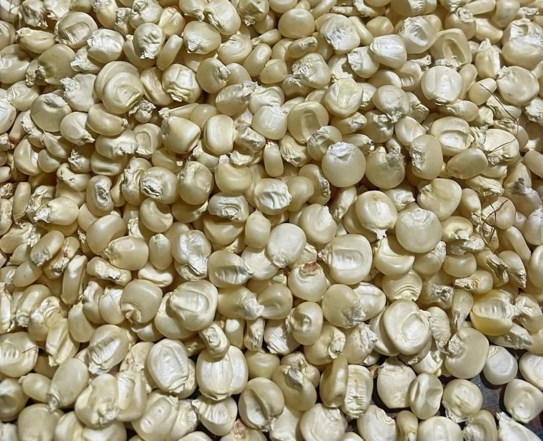 25 Bags of Maize